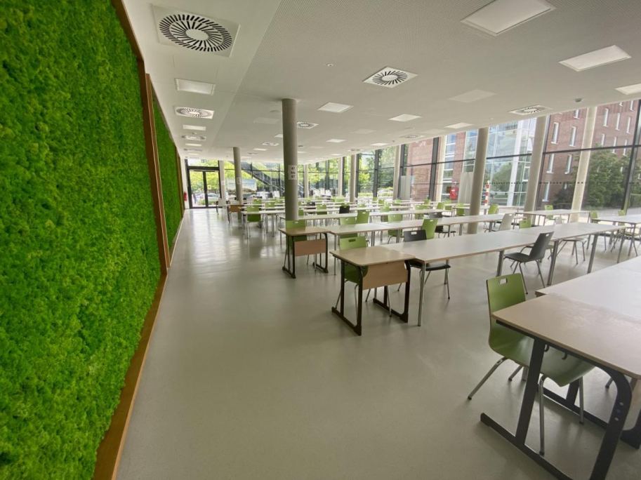 Mensa im Alltag des Studiums